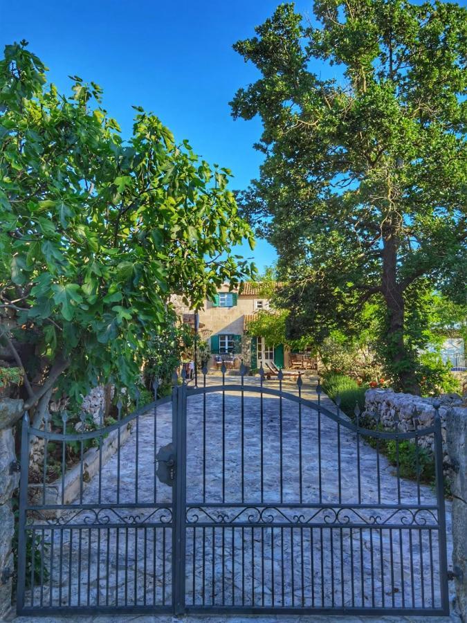 Villa Dvori Dida Mile Sveti Petar  Eksteriør bilde