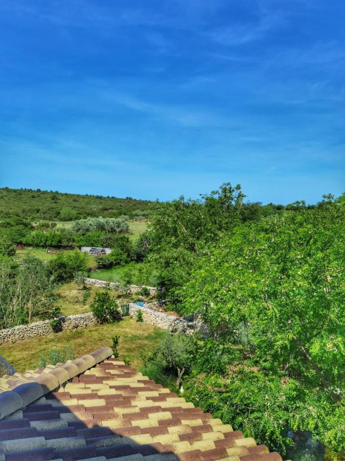 Villa Dvori Dida Mile Sveti Petar  Eksteriør bilde