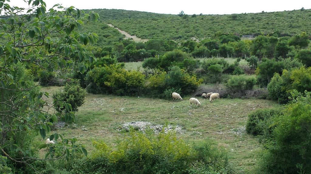 Villa Dvori Dida Mile Sveti Petar  Rom bilde