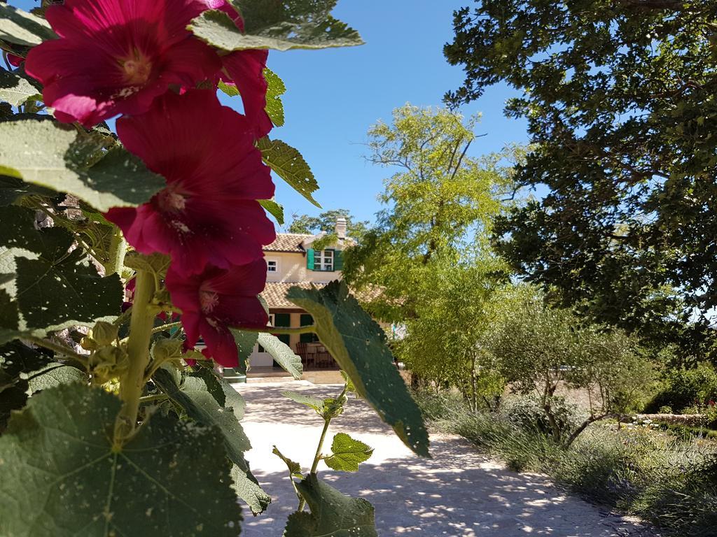 Villa Dvori Dida Mile Sveti Petar  Eksteriør bilde